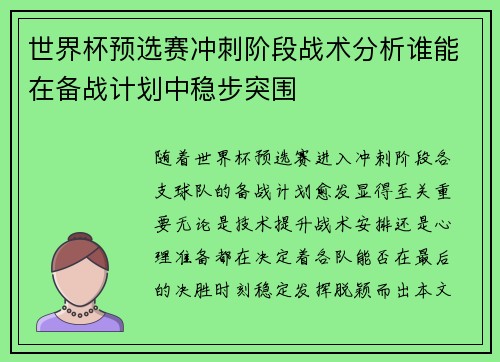 世界杯预选赛冲刺阶段战术分析谁能在备战计划中稳步突围